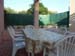 La terrasse